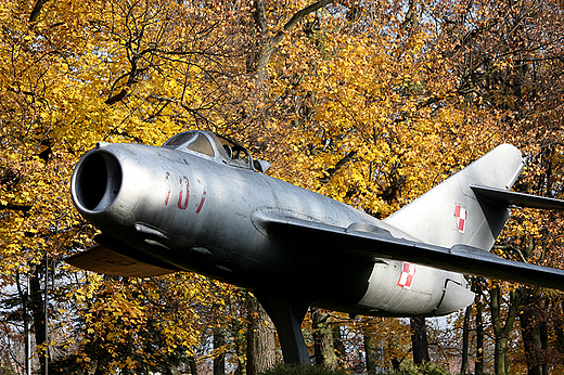 Grudzidz - samolot w parku