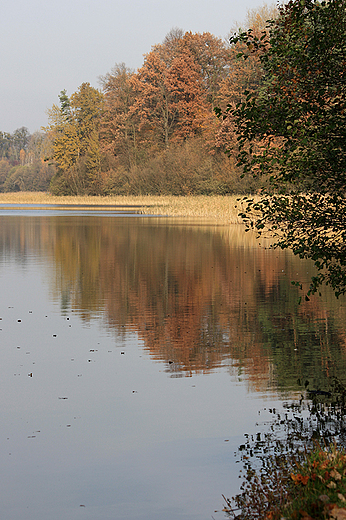 Żmijewo - jesień nad jeziorem