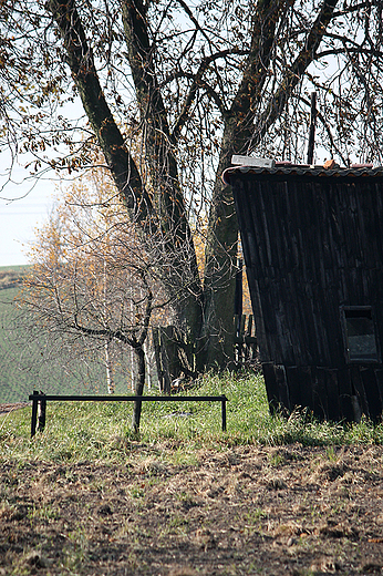 Kruszyny Szlacheckie - gobnik