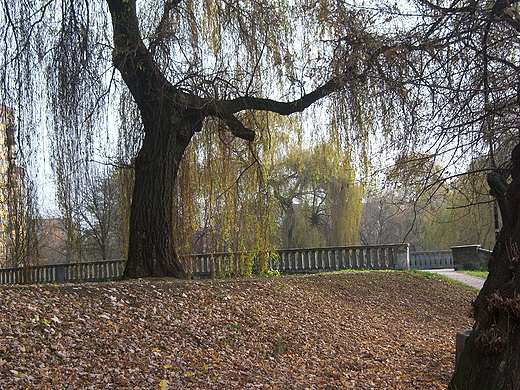 Park Kresowy w Sosnowcu