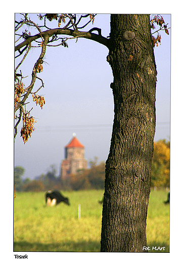 Toszek - zamek w oddali