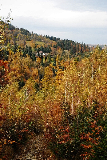 Szlakiem na Stary Gro