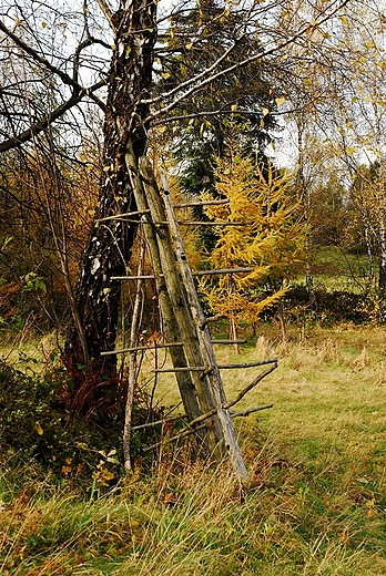 Szlakiem na Stary Gro