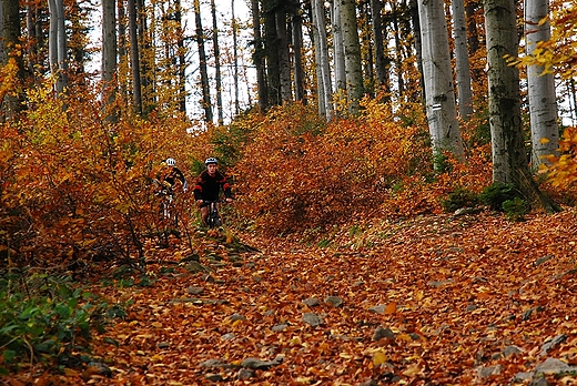 Szlakiem na Stary Gro