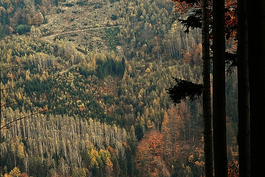 Szlakiem na Stary Gro