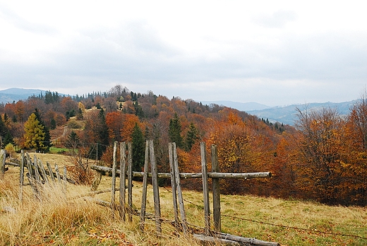 Szlakiem na Stary Gro