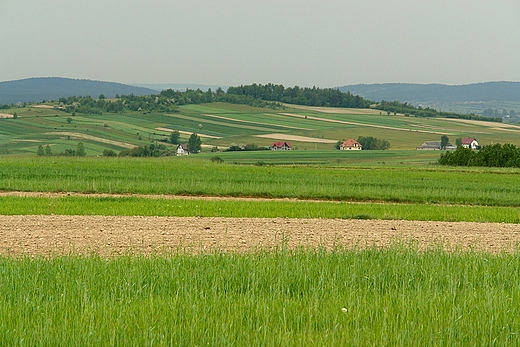 Szachownica pl na Strunej