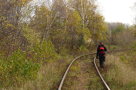 witokrzyskie hobo. Zajamnie