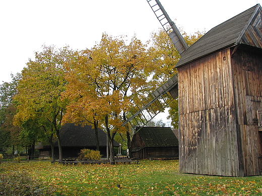 skansen przy Muzeum Etnograficznym