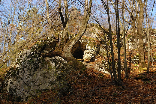Jaskinia Pieko Milechowy. Gra Milechowska