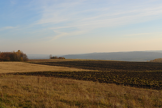 Pola na Grzbach Bolmiskich. Bolmin