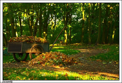 Szczytniki - dworski park krajobrazowy