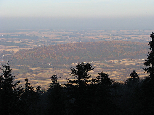 widok z platformy nad gooborzem