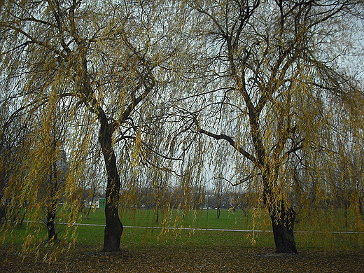 Warszawa. Park Zachodni.