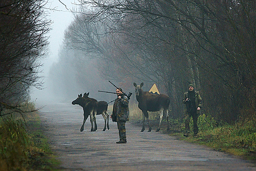 Przystanek Alaska??? Nie, to Carski Trakt :-)