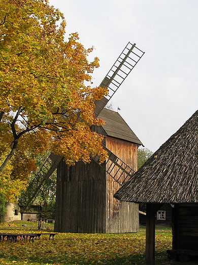 skansen przy Muzeum Etnograficznym