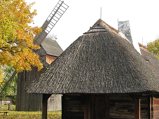 skansen przy Muzeum Etnograficznym