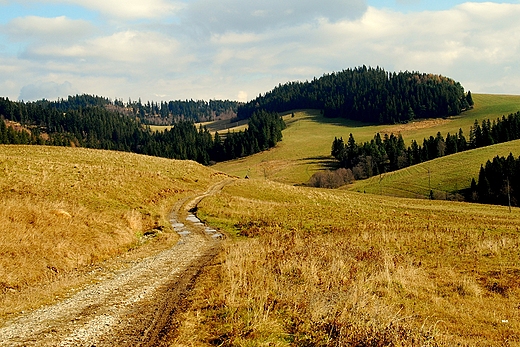 W drodze z Dursztynu na ar