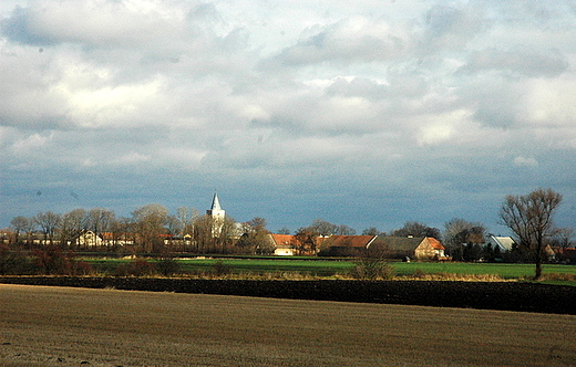 Piotrwek - pola