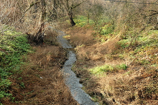 Lubi - potok klasztorny