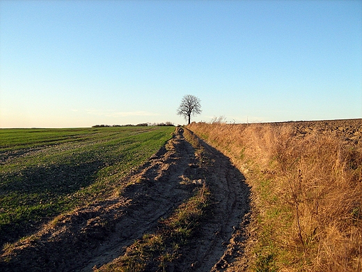 Droga wyryta przez czas