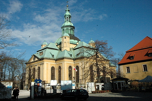 Jelenia Gra - koci aski