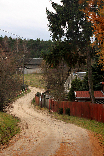 Suchobrzenica na Kociewiu