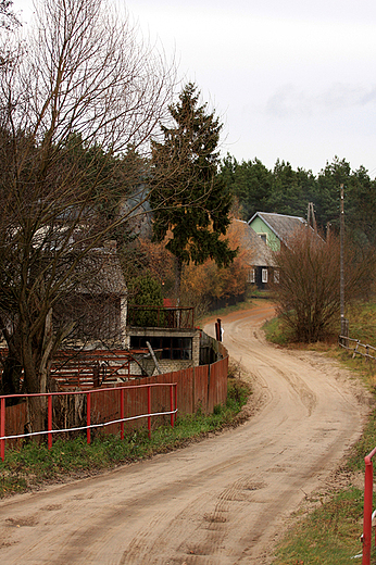 Suchobrzenica na Kociewiu