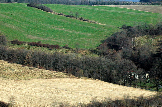 Bolkw - na przedmieciach