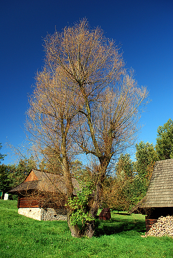 Grnolski Park Etnograficzny.