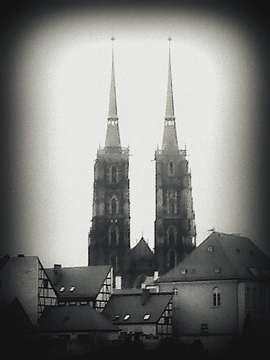 wrocawska katedra