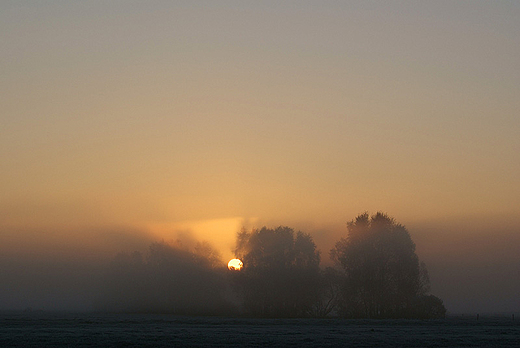 Wschodzik, okolice wsi Siekierki