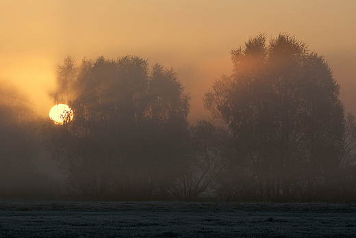 Wschodzik, okolice wsi Siekierki