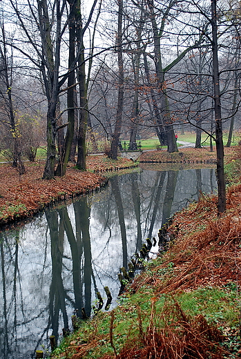 Park zamkowy jesieni.