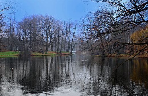 Park zamkowy. Staw jesieni.