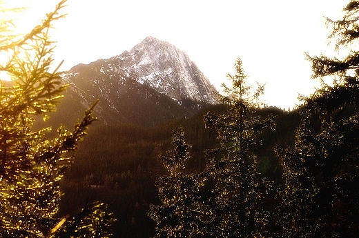 Zakopane