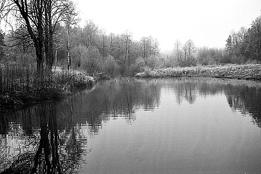 Dolina Brusienki. Roztocze