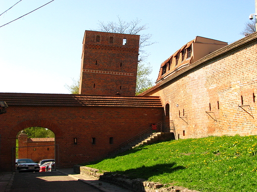 Krzywa Wiea w Toruniu