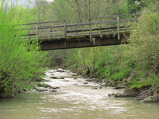 Mostek. Bieszczady