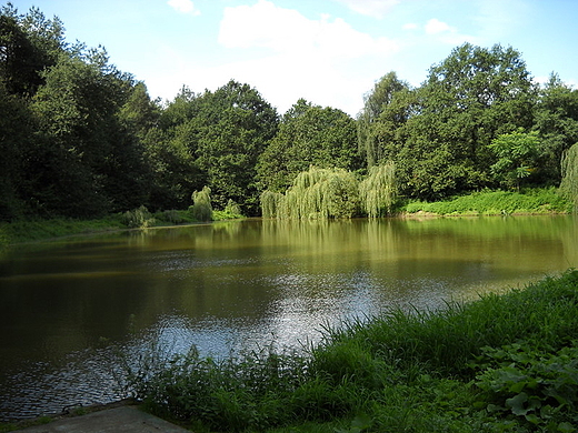 ZOTORYJA nad Zalewem