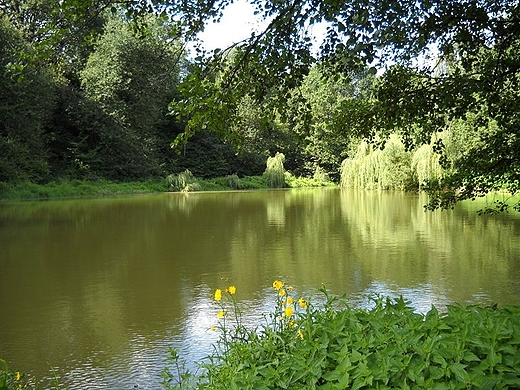 ZOTORYJA nad Zalewem