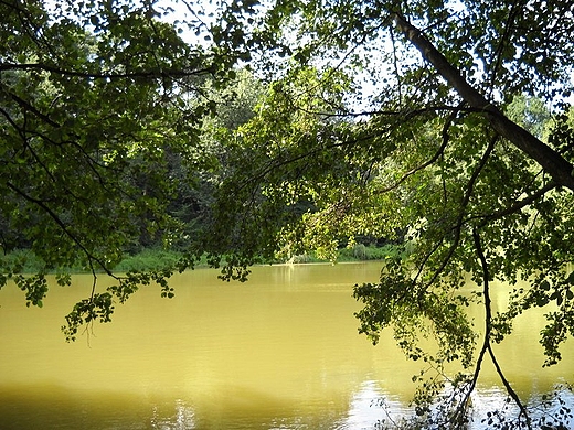 ZOTORYJA nad Zalewem