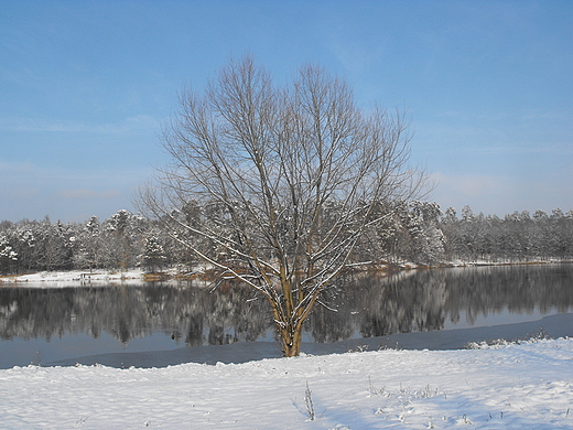 zima 2010 w okolicach Radomia