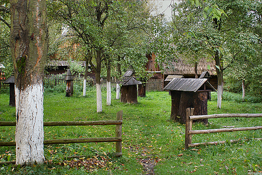 Muzeum Wsi Opolskiej - pasieka