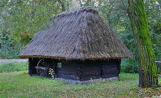 Muzeum Wsi Opolskiej w Opolu - chlewik z Wichrowa