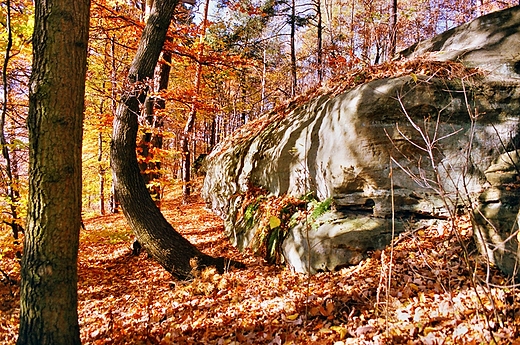 Spacerkiem po powiecie Skaryskim - Gmina Skarysko-Kamienna