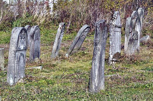 W zaktku cmentarza. Kirkut w Bodzentynie