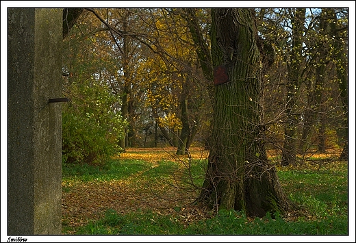 miw - pomajtkowy XIX wieczny park