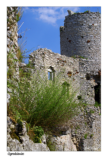 Ogrodzieniec - ruiny zamku