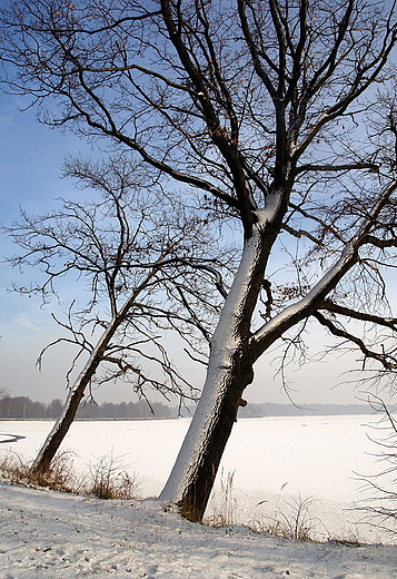 Zima pod Pszczyn.